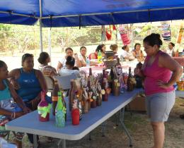 Feria empresarial La Cruz Guancaste, proyecto Implementación del Enfoque de Mejoramiento de Vida, 2014 