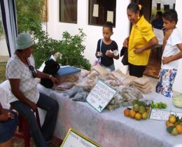 Grupo de la Virgen, proyecto Fortalecimiento Administrativo y de Gestión Microempresarial en Santa Cecilia La Cruz, Guanacaste 