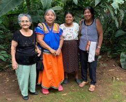 Abuela Ecolog Indigenas Proyecto Fortalecimiento de la Gestión Socio Cultural