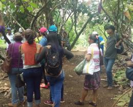 Finca cacao organico proyecto Elaboración de insumos e implementación de prácticas para el fomento de la agroe