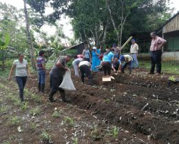 Huerta biointensivaproyecto Elaboración de insumos e implementación de prácticas para el fomento de la agroe