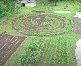 Diseño de área de cultivo bajo el método mándala con cuatro estaciones de siembra.